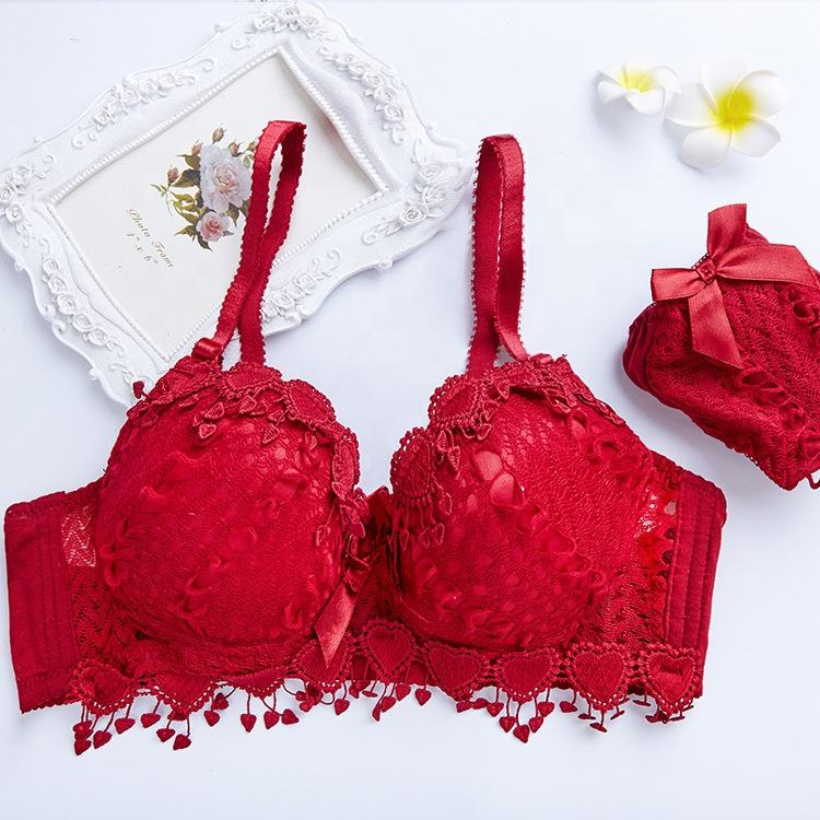 Wholesale Hot Style Embroidered Lace Bra Set – Sexy Underwire Lingerie for Women 2026