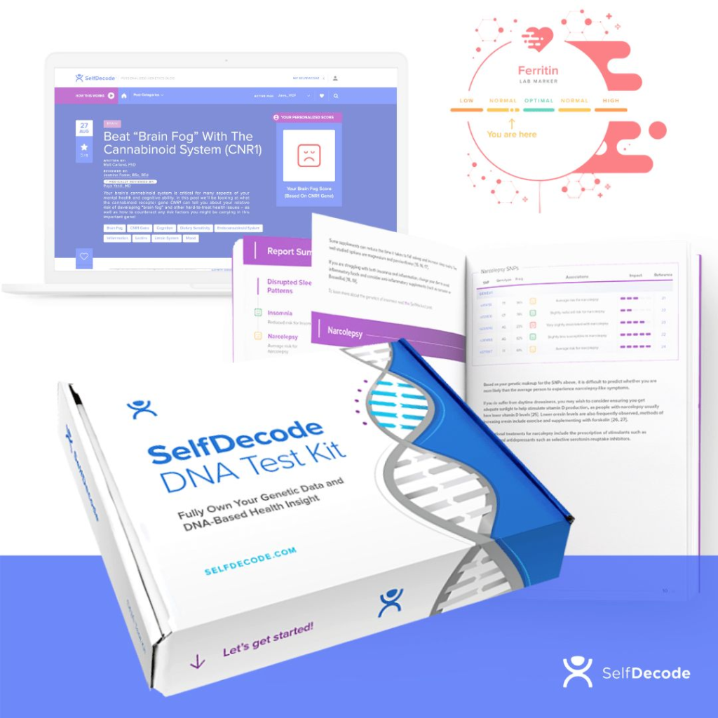 Complete Guide to DNA Testing Kits 2026: Accuracy, Types, Costs & Best Options