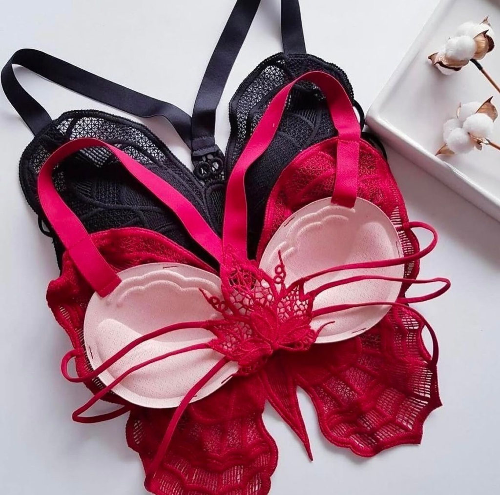 Sexy Lace Butterfly Bra for Women – Best Stylish & Comfortable Lingerie 2026